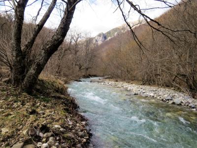 Rijeka Jabušnica